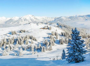 pie de pista PRUEBA1 1